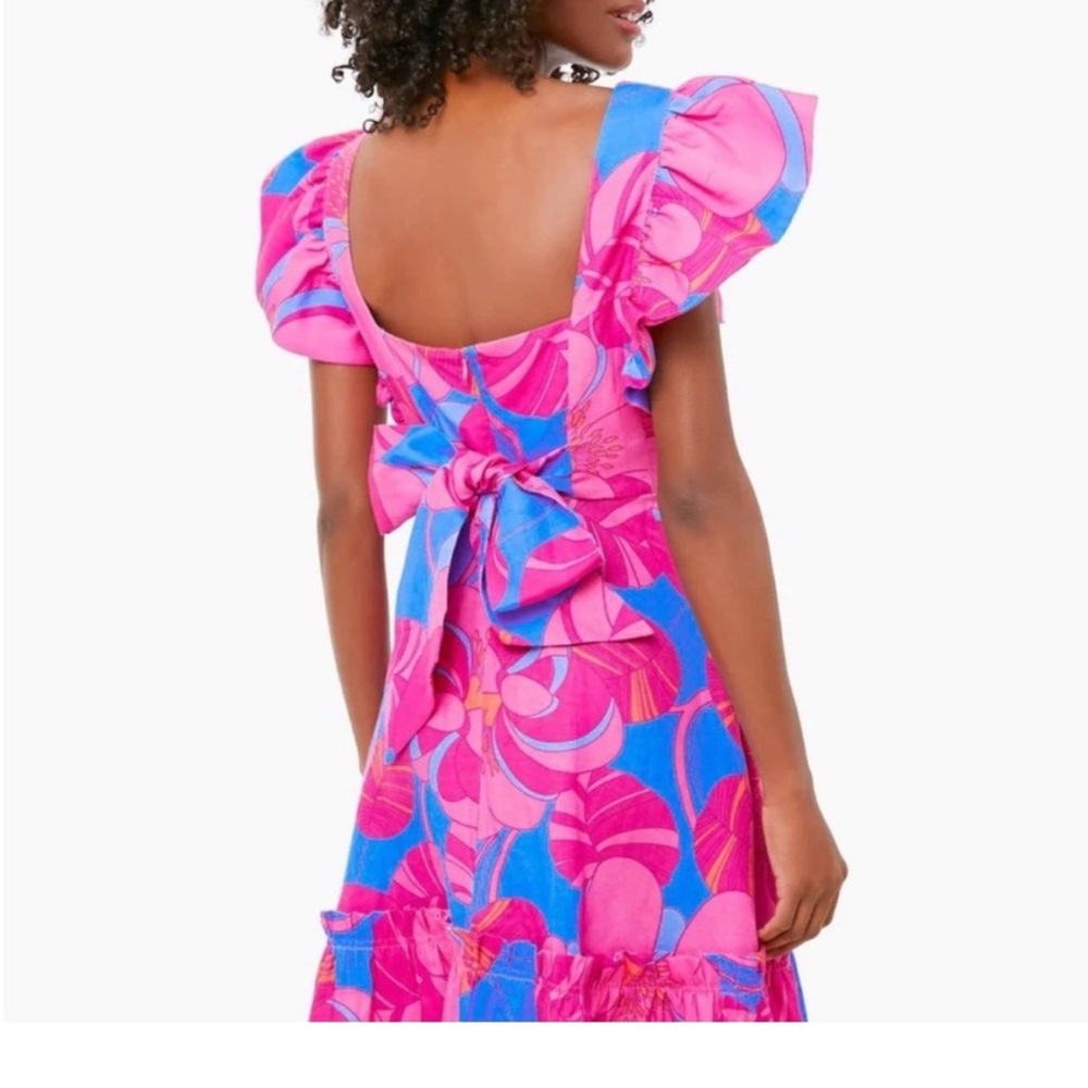 Tuckernuck Pink and Blue Floral Ruffle Mini Dress - Picture 3 of 4